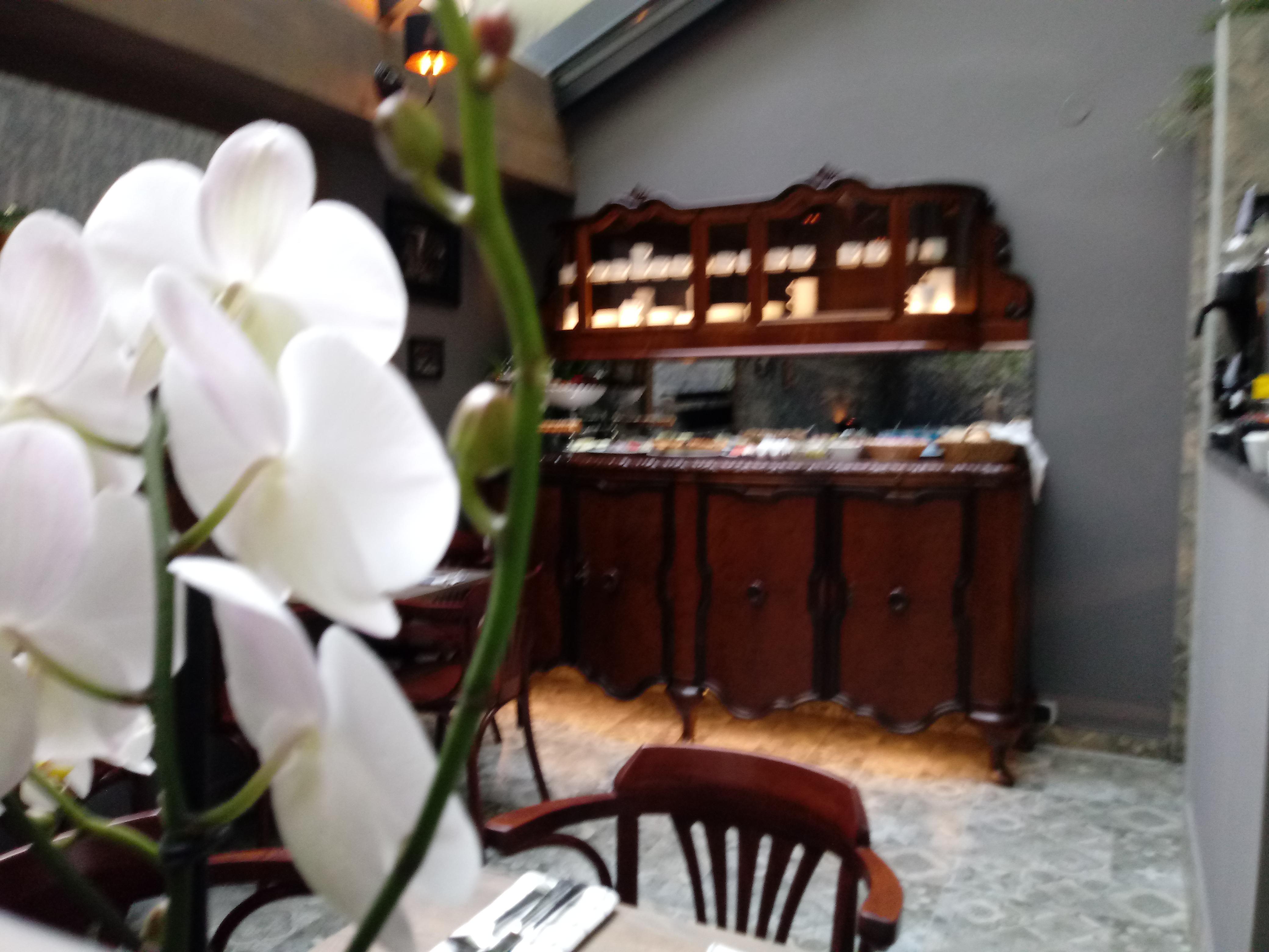 Shalom Kazimierz Aparthotel Krakkó Kültér fotó